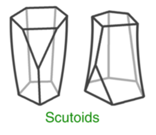 Illustration for article titled The 'Scutoid' Is Geometry's Newest Shape, and It Could Be All Over Your Body